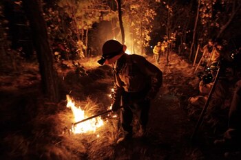 Incendio forestal en el Bosque