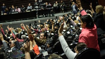 Este año se renuevan todos