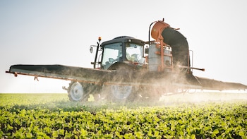 El 70% de las exportaciones