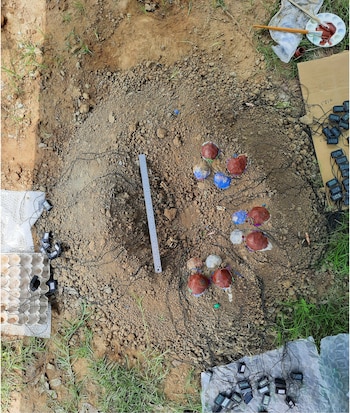 El Experimento III simuló la