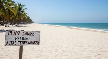Playa de arena blanca con palmeras y mar azul. Un cartel de madera a la izquierda dice "Playa Caribe - Peligro Altas Temperaturas" bajo un cielo despejado.