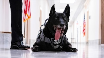 Hurricane se convirtió en el