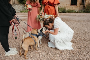 Un cuidador de mascotas es