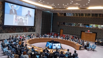 El Consejo de Seguridad de