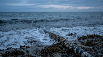 Los tramos del TAT-8 que