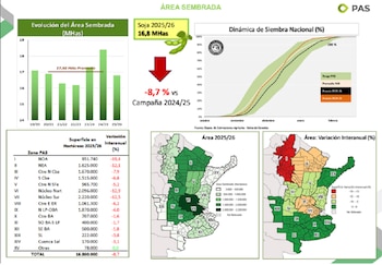 Campaña sojera 2025/26: datos de cierre
