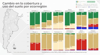 Mapa de Argentina con ecorregiones. Gráficos de barras comparan cobertura y uso del suelo entre 1985 y 2024. Leyenda con cinco tipos. Fuente Mapbiomas.