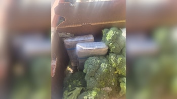 Paquetes de cocaína dentro de