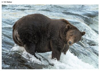 Walker es otro de los