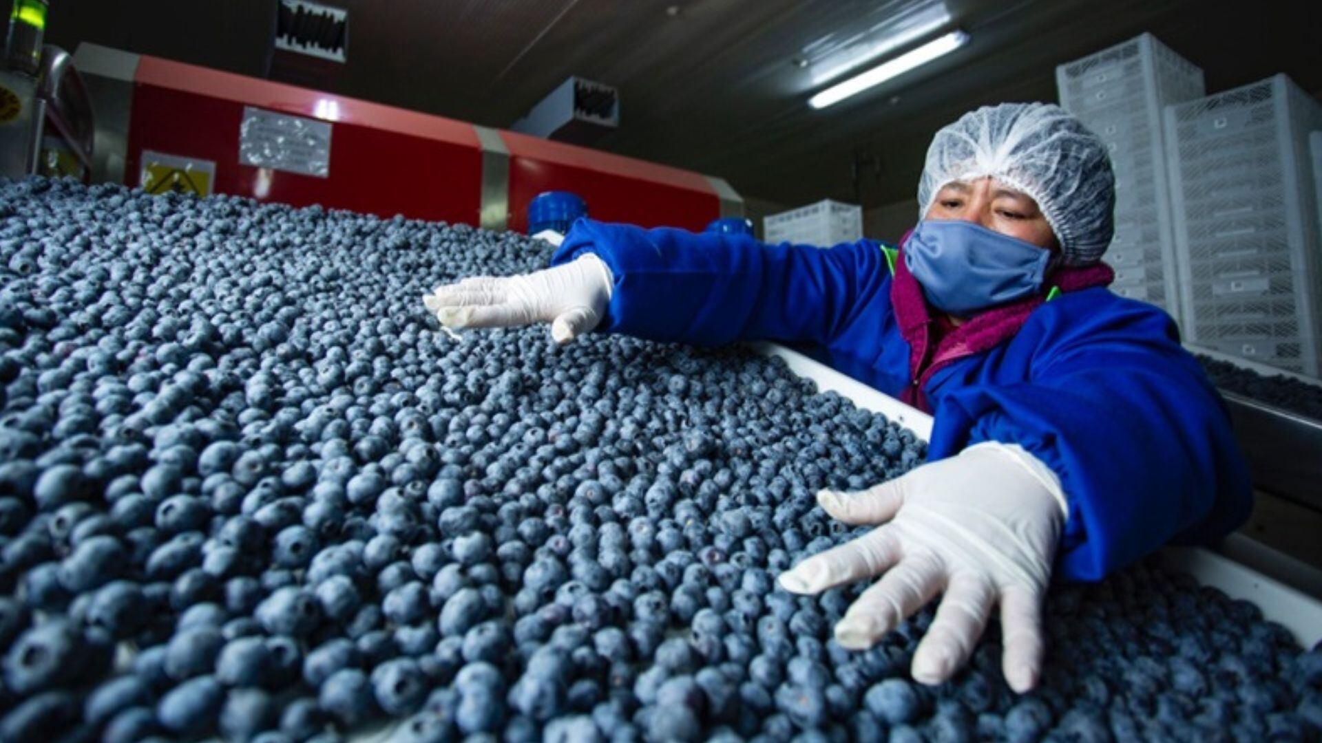 Las deducciones fiscales permitirán descontar hasta un 25% adicional por compras directas a pequeños productores y un 10% por operaciones respaldadas en Nuevo RUS.