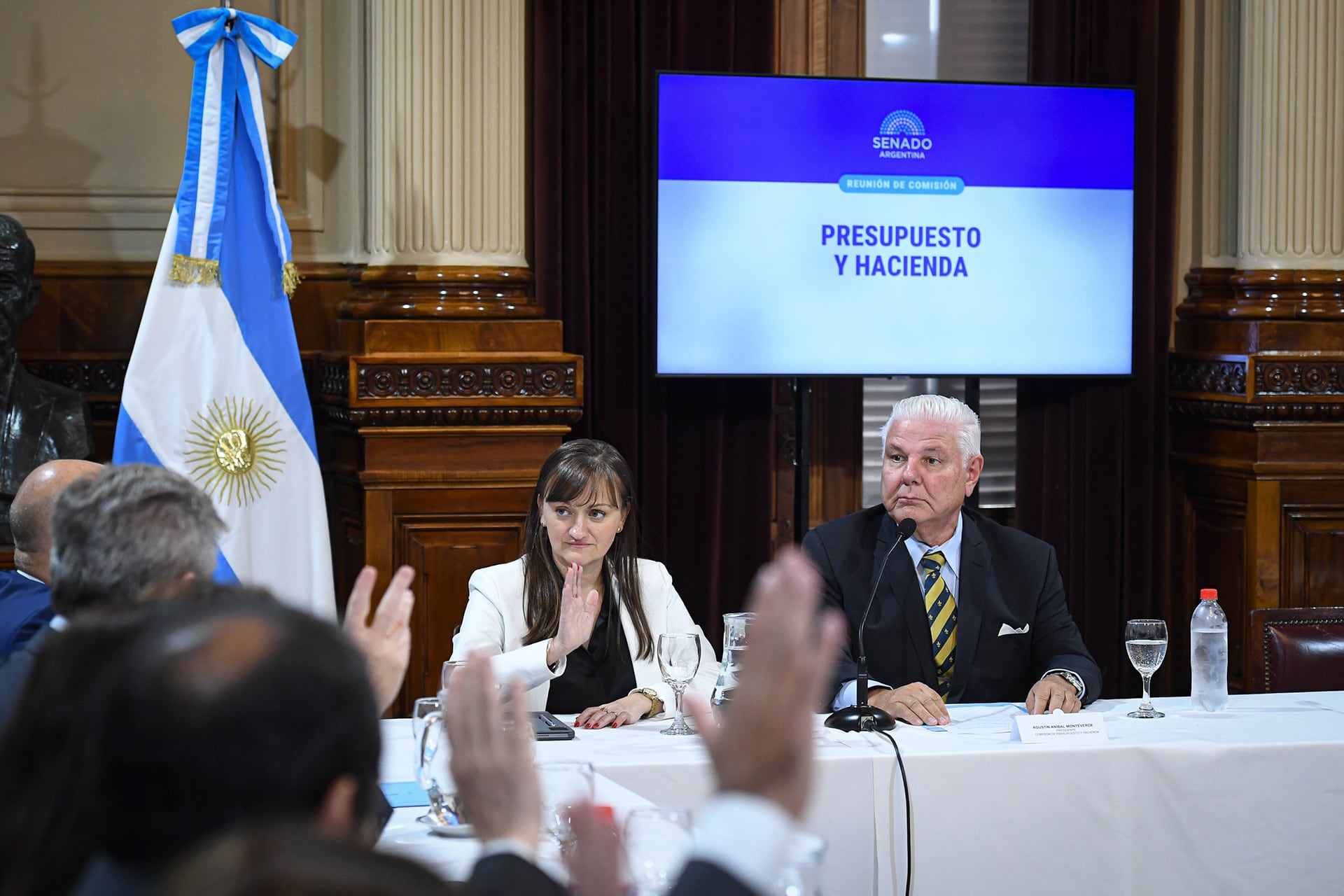 ACUERDO CON FONDO BUITRE: Senado avala pago de u$s 171 millones