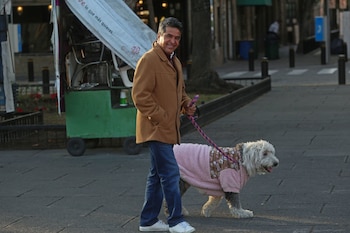 A capital de Jalisco pode ser dividida