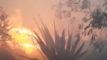 Incendio en el cerro El