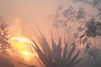 El incendio el cerro Picacho