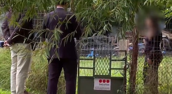 Dos mujeres fueron encerradas, abusadas y torturadas por un hombre en Las Piedras (Captura Telemundo/Canal 12)