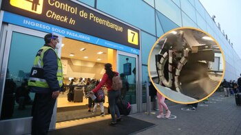 Un can ingresó a la