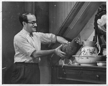 Las funciones se realizarán el