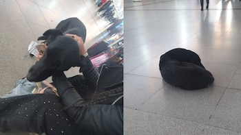 Un vigilador le pegó patadas a un perro abandonado en la terminal de Rosario y lo apartaron de su puesto