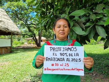 La expansión petrolera en la