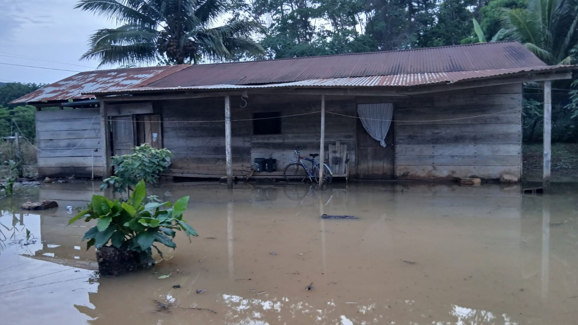 Una vivienda rústica se encuentra parcialmente sumergida debido a las inundaciones causadas por las lluvias torrenciales que han azotado Guatemala en las últimas horas. (SE CONRED Guatemala)
