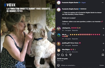 Brigitte Bardot envió un mensaje