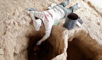 Aparte de los restos contenía