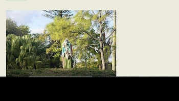 La tercera edición de Deering