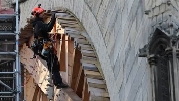 Los trabajadores revisan madera por