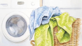 Qué pasa cuando se mezclan las toallas de baño y los paños de cocina en el lavarropas