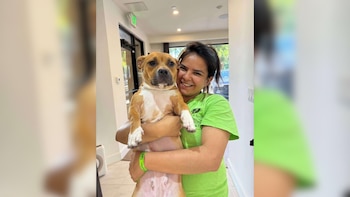 Mujer sonriente con camiseta verde sostiene un perro marrón y blanco. El perro mira a cámara. Fondo interior con paredes claras y puerta de cristal