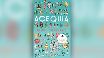 En la primera edición, Amaury