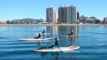 Las actividades acuáticas son un
