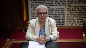 Quién es Carmen Pano, la empresaria que llevó 90.000 euros a la sede del PSOE y a la que la trama de Leire Díez habría ofrecido dinero para cambiar su declaración