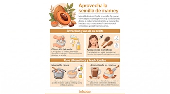 Infografía ilustra la fruta mamey, semillas, extracción de aceite, aplicaciones cosméticas, preparación de mascarilla y uso como aromatizante en postres mexicanos.