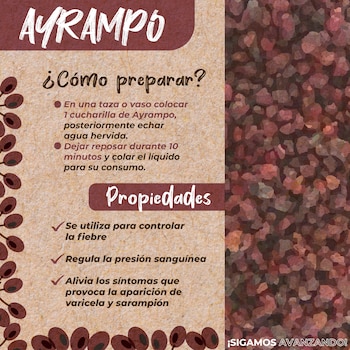Cómo una fruta tradicional andina