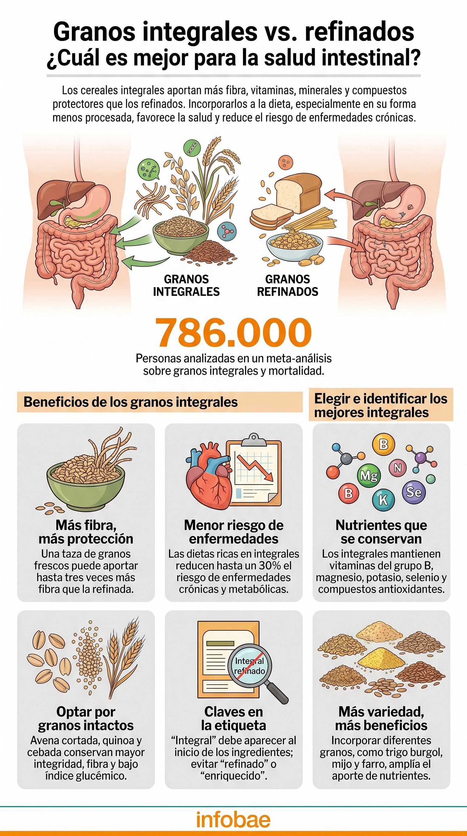 Los cereales integrales conservan el salvado, el endospermo y el germen, lo que aporta más fibra, vitaminas del grupo B, magnesio y antioxidantes que los refinados (Imagen Ilustrativa Infobae)