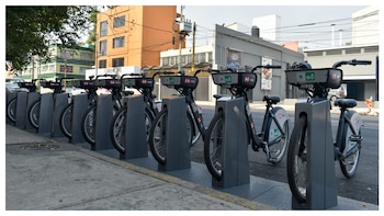 Trabajo en CDMX: cómo postularte