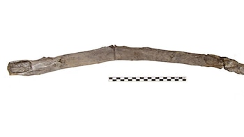 Palo de excavación o multifuncional