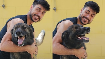 De analista de datos a educador canino, la historia de Guillermo y sus consejos sobre la adopción: “Un error habitual es infravalorar el compromiso que requiere un perro”