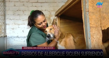 Magaly Medina pide ayuda para animales de albergue y ASPPA llega con alimentos y medicamentos. Captura: Magaly TV La Firme.