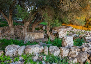 Torrefullada, en Menorca.