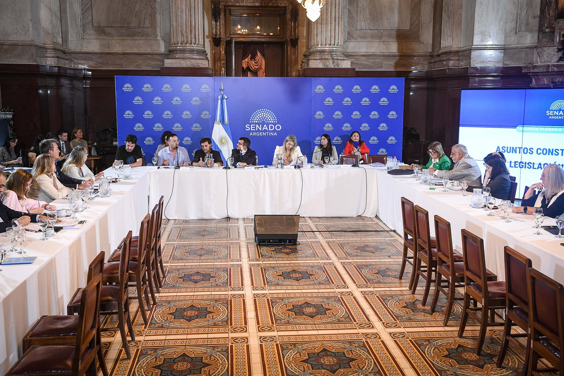 El plenario de las comisiones de Asuntos Constitucionales; y de Legislación General de la Cámara alta que retomó esta tarde el debate de la ley de propiedad privada del Gobierno libertario (Prensa Senado)