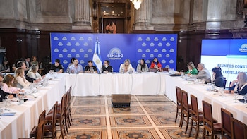 Propiedad privada: dudas y avales en el Senado a la ley libertaria en una nueva ronda de exposiciones