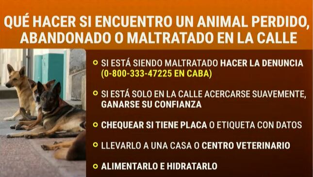 El periodista cuestionó que muchas ayudas solo se limitan a dar agua o comida, sin resolver el problema de fondo