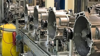 La producción será destinada a