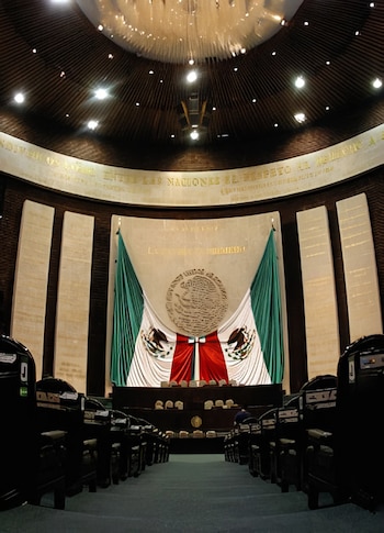 Banderas nacionales custodian el escudo