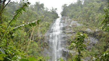 COP16 en Cali: estos son
