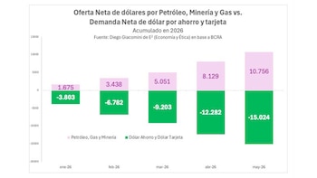 Gráfico de barras que compara oferta neta de dólares por petróleo, minería y gas con demanda de dólar ahorro y tarjeta de enero a mayo de 2026