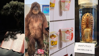 El Museo del Cabello Avanos