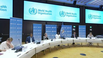 La Organización Mundial de la